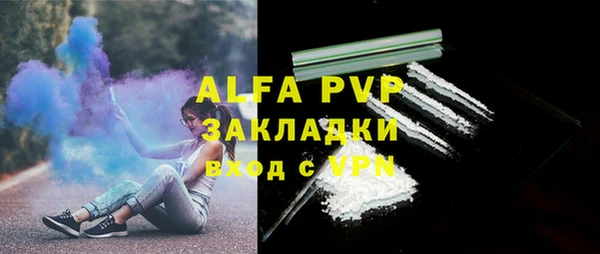кокс Осташков